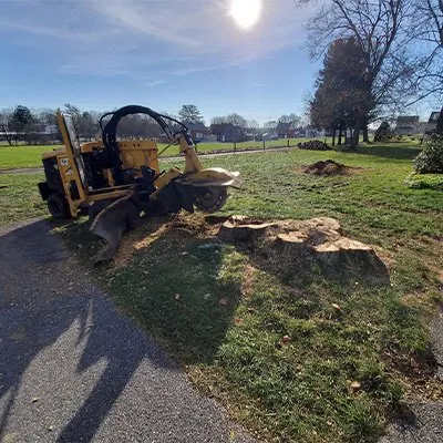 Expert landscape design in Narvon, PA - Red Hill Property Services
