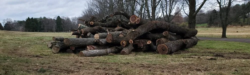 Trusted residential landscaping near you in Narvon, PA by Red Hill Property Services