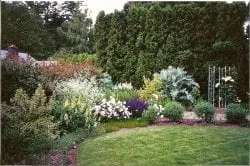 Red Hills Landscaping