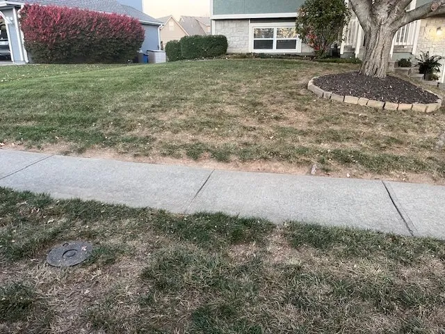 Local residential landscaping in Liberty, MO by Red Horse Lawncare & Firewood