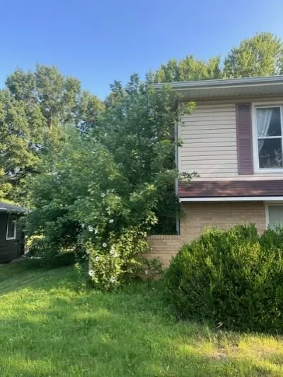 Top-rated lawn care service in Liberty, MO - Red Horse Lawncare & Firewood