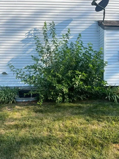 Custom garden landscaping for outdoor upgrades in Liberty, MO by Red Horse Lawncare & Firewood