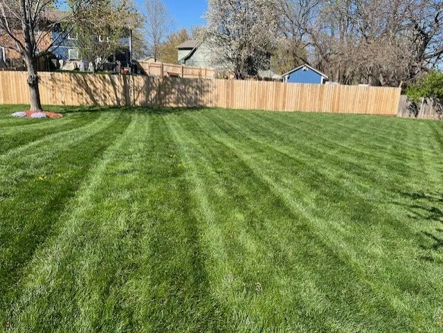 Trusted outdoor landscaping in Liberty, MO - Red Horse Lawncare & Firewood