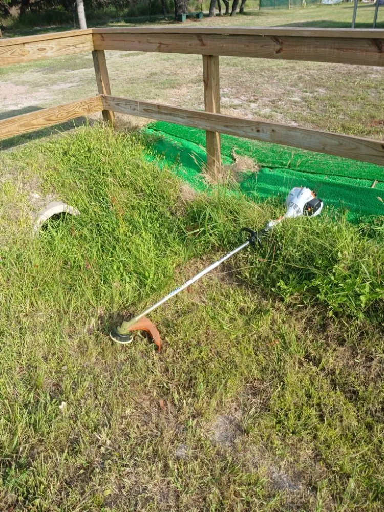 Affordable yard maintenance for residential properties in Rockport, TX by Red Horse Palms