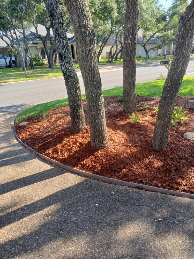 Expert lawn mowing service for homes across Rockport, TX - Red Horse Palms