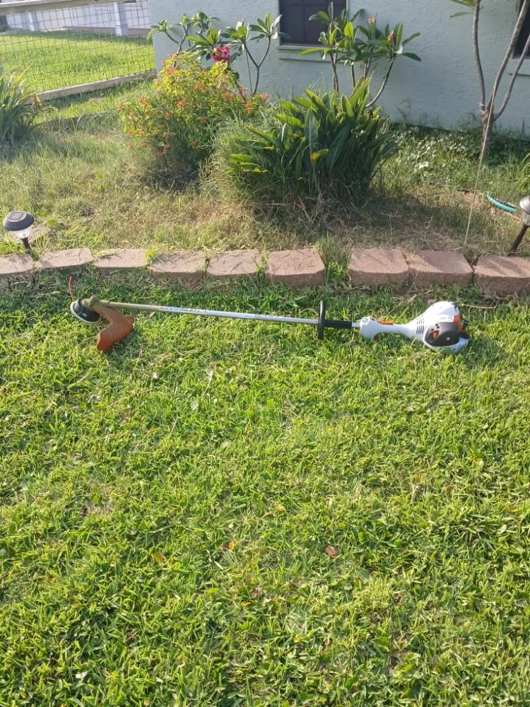 Local landscape design for year-round maintenance in Rockport, TX by Red Horse Palms