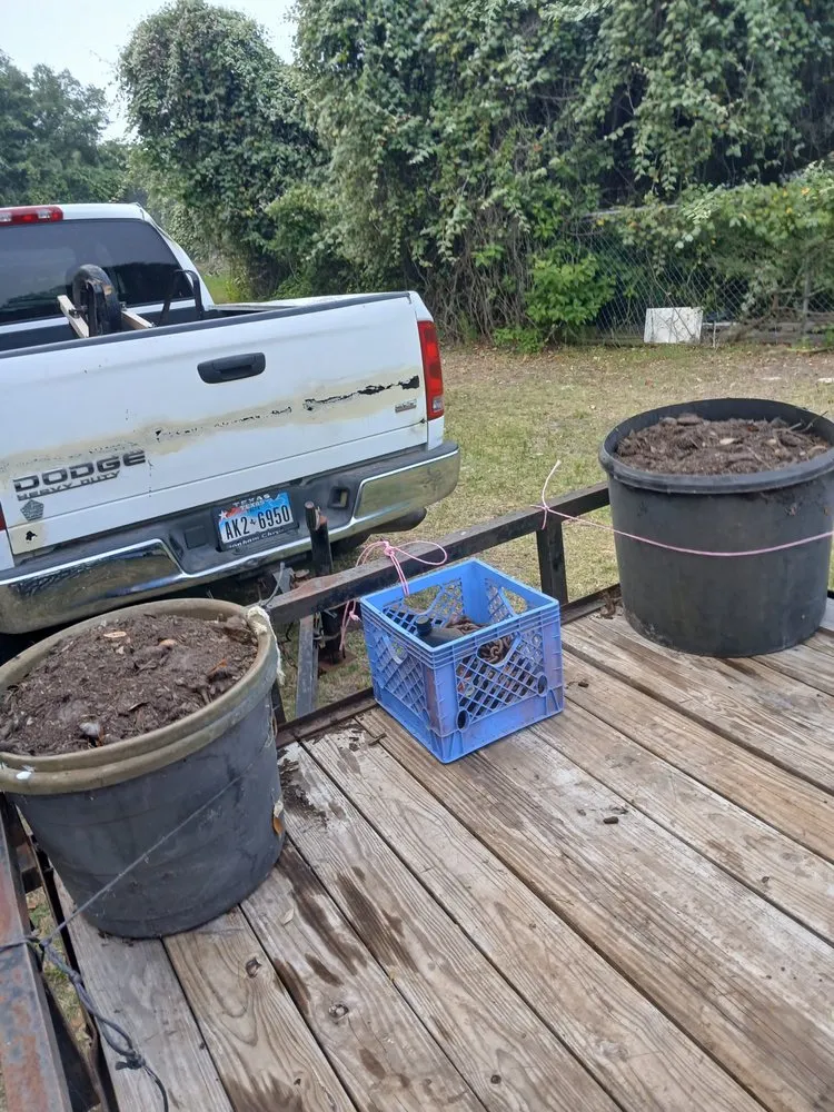 Trusted lawn care service in Rockport, TX - Red Horse Palms