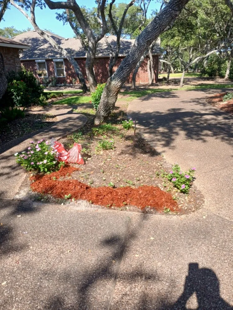 Professional landscape installation in Rockport, TX by Red Horse Palms