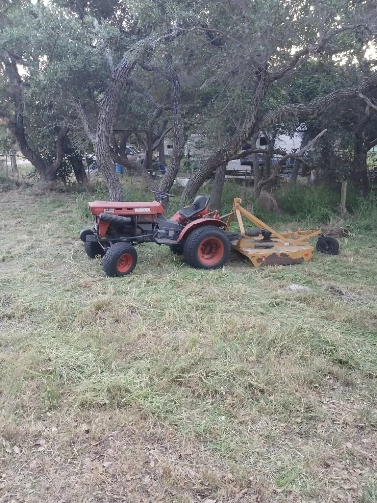Expert yard cleanup service in Rockport, TX by Red Horse Palms