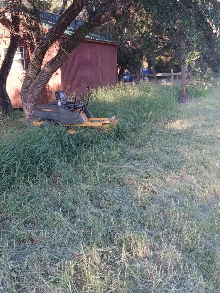 Custom outdoor landscaping experts serving Rockport, TX - Red Horse Palms