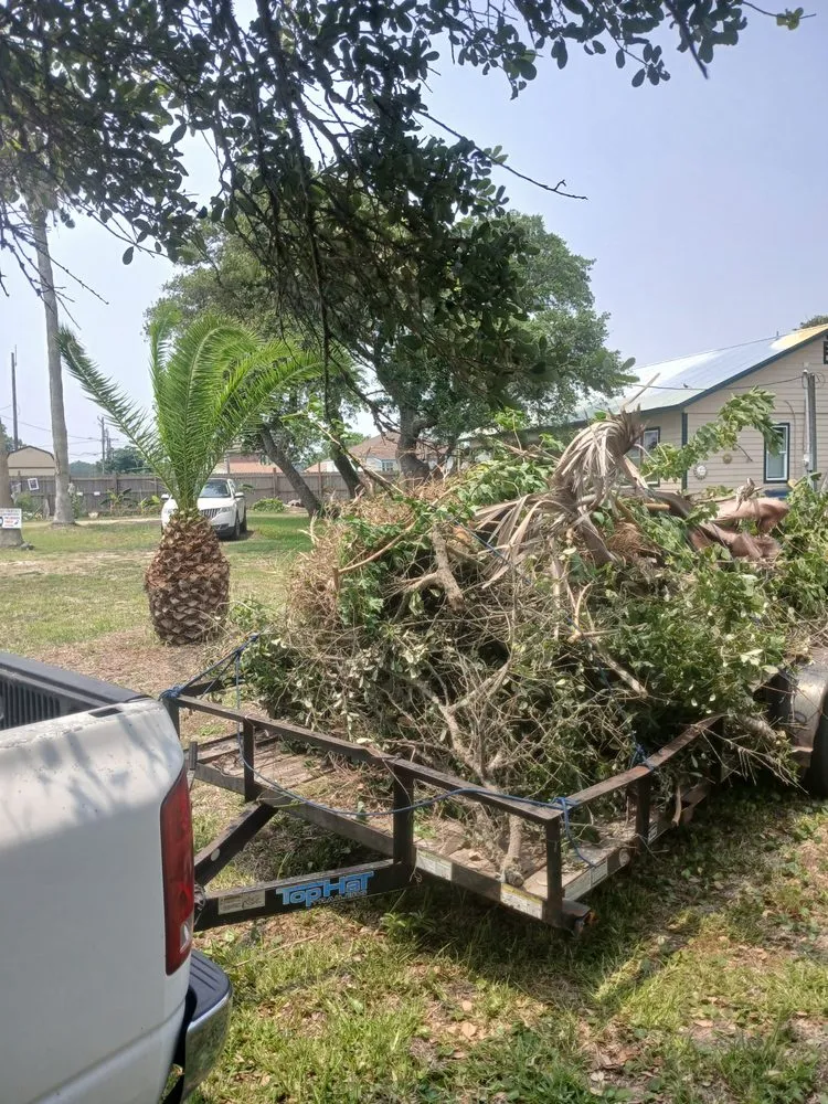 Local outdoor landscaping for year-round maintenance across Rockport, TX - Red Horse Palms