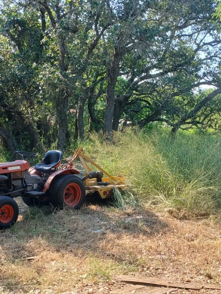 Top-rated yard cleanup service in Rockport, TX by Red Horse Palms