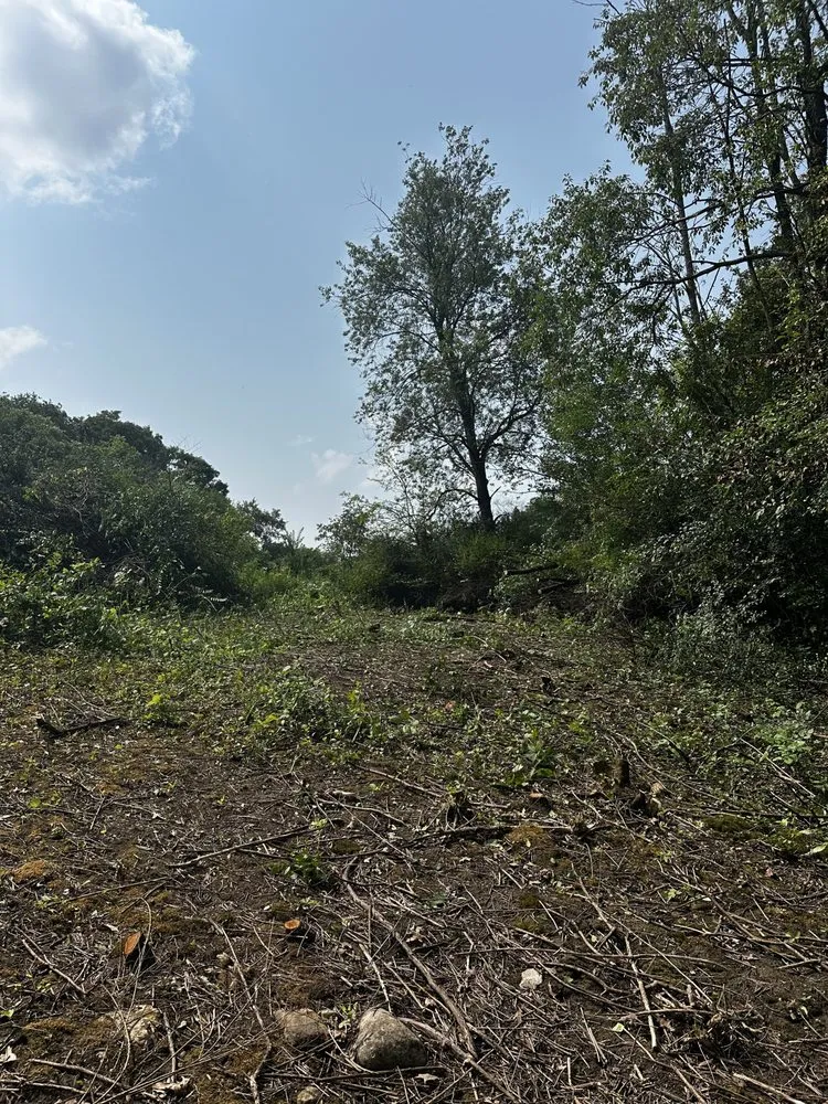 Custom yard maintenance in Madison, WI by Red Hot All Seasons