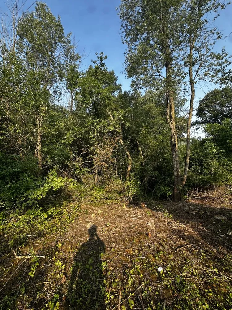 Affordable garden landscaping in Madison, WI by Red Hot All Seasons