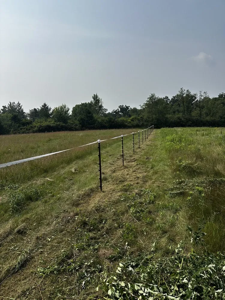 Custom garden landscaping experts serving Madison, WI - Red Hot All Seasons