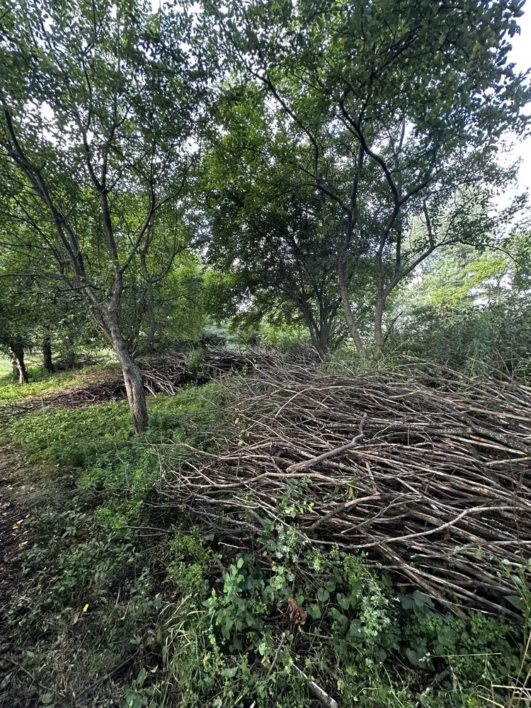 Trusted landscaping services experts serving Madison, WI - Red Hot All Seasons