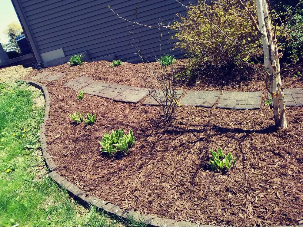 Affordable lawn care service in Ypsilanti, MI by Red Leaf Landscaping