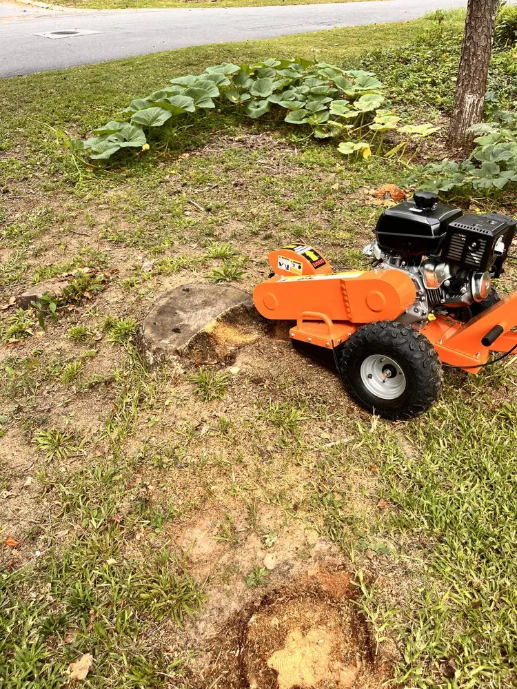 Custom landscape installation in Acworth, GA by Red Line Affordable Stump Grinding And Brush Services
