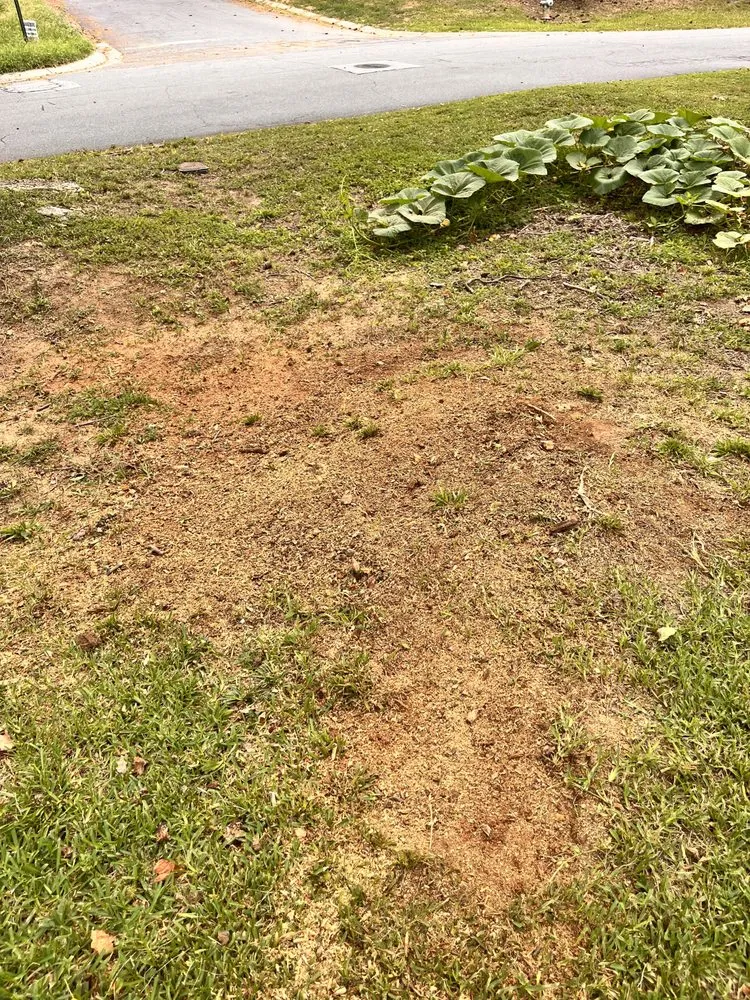 Top-rated yard cleanup service experts serving Acworth, GA - Red Line Affordable Stump Grinding And Brush Services