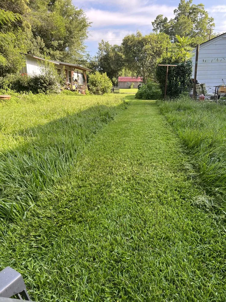 Trusted outdoor landscaping for residential properties across Bainbridge, GA - Red Line Lawn Care
