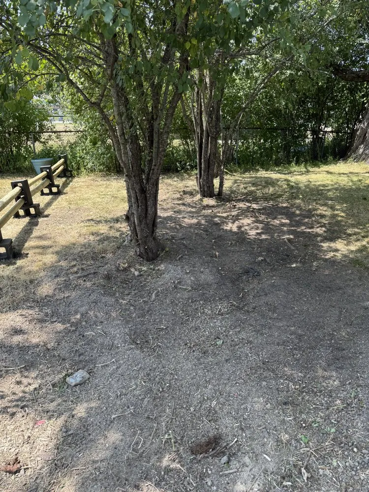 Reliable yard cleanup service experts serving Hermon, ME - Red Line Lawn Care