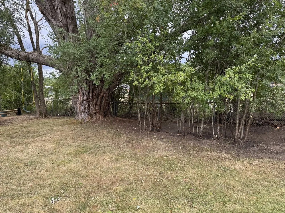 Professional lawn mowing service near you in Hermon, ME by Red Line Lawn Care