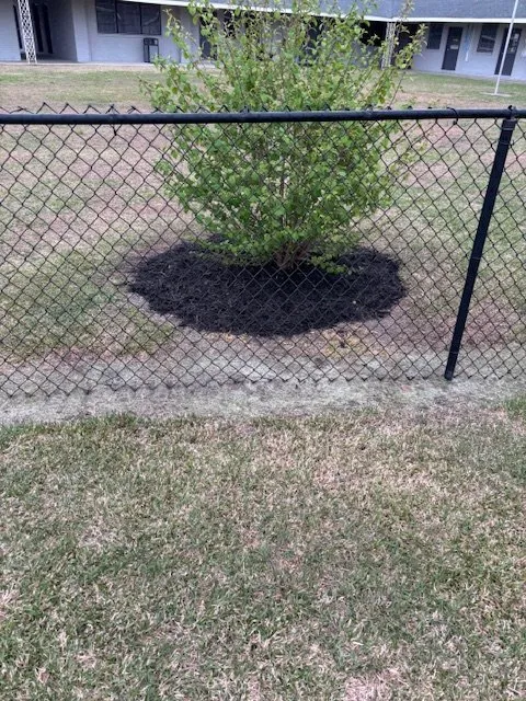 Reliable outdoor landscaping experts serving Kinston, NC - Red Line Lawn Care