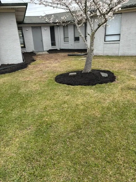 Reliable yard cleanup service in Kinston, NC - Red Line Lawn Care
