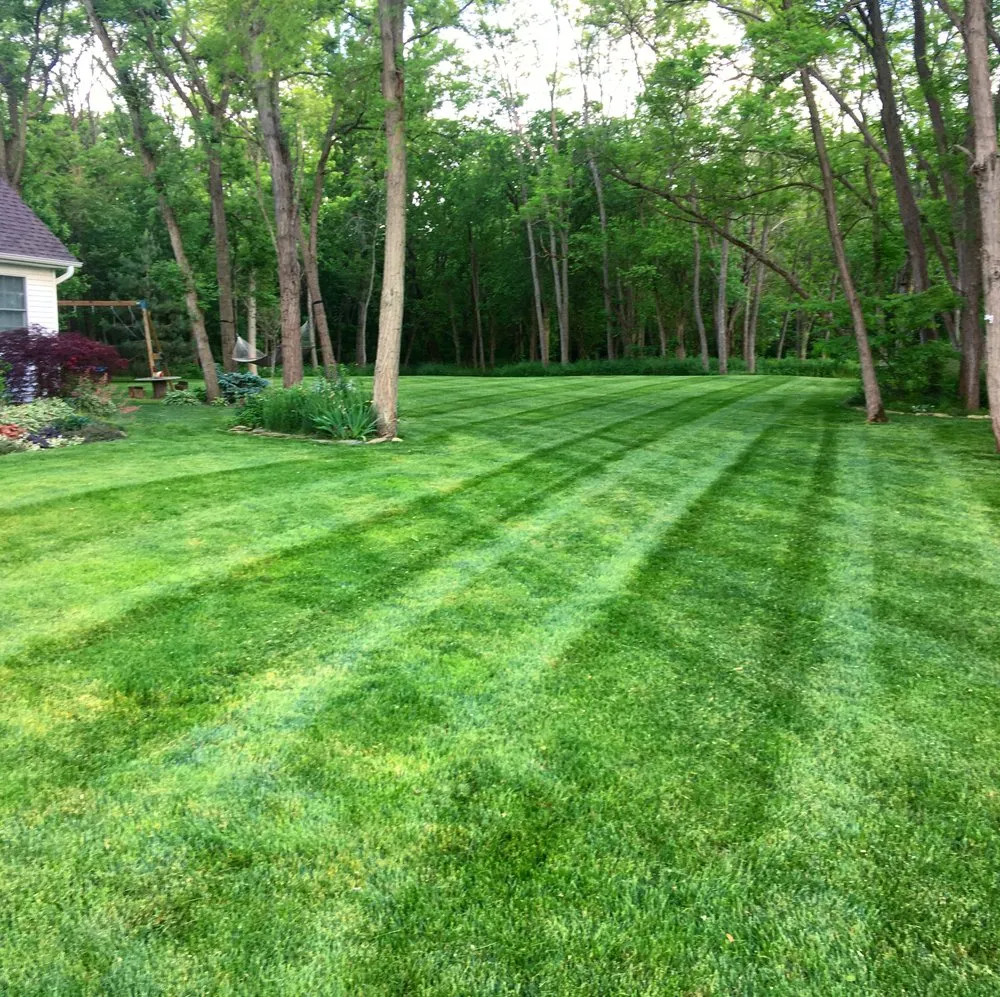 Custom lawn care service experts serving Long Creek, IL - Red Line Lawn Care