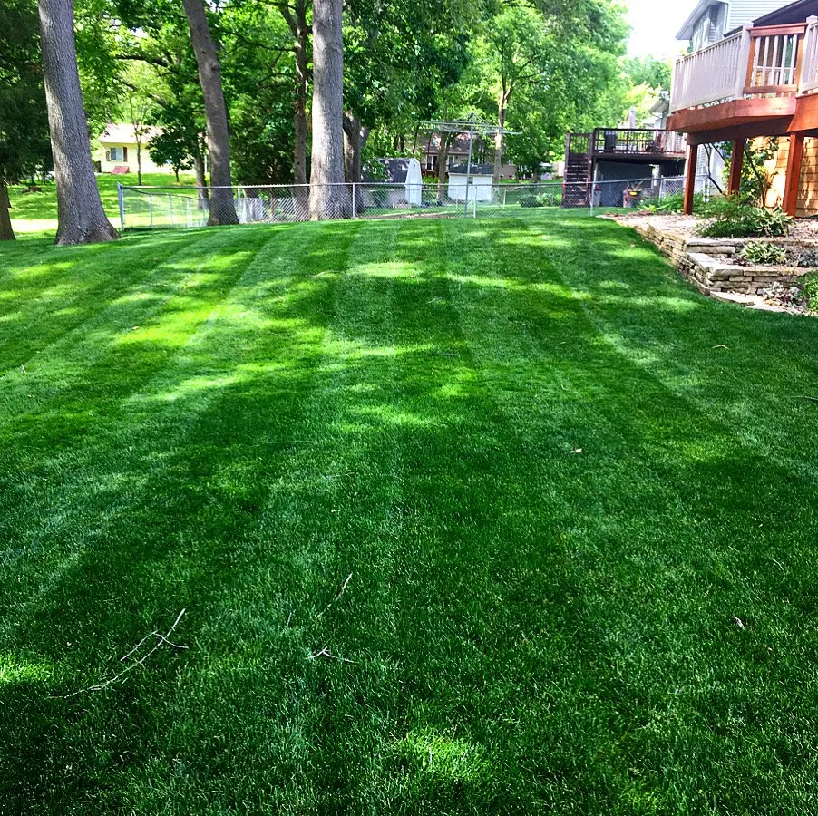 Expert landscape design for residential properties across Long Creek, IL - Red Line Lawn Care