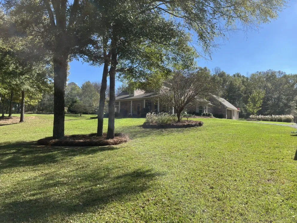 Affordable landscaping services in Flora, MS by Red Line Lawn