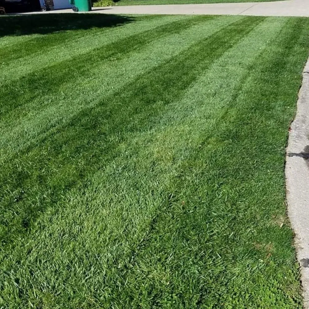 Professional outdoor landscaping with custom design across St. Peters, MO - Red Line Lawns