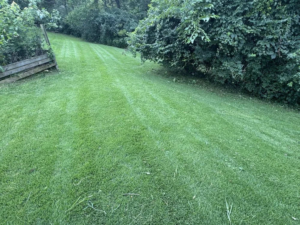 Top-rated yard cleanup service experts serving Owensville, OH - Red Line Mowing