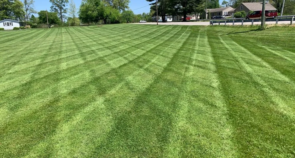 Expert yard cleanup service in Owensville, OH - Red Line Mowing