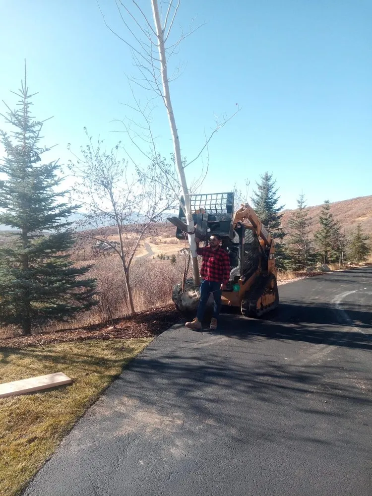 Reliable lawn mowing service with custom design across Park City, UT - Red Line Property Maintenance