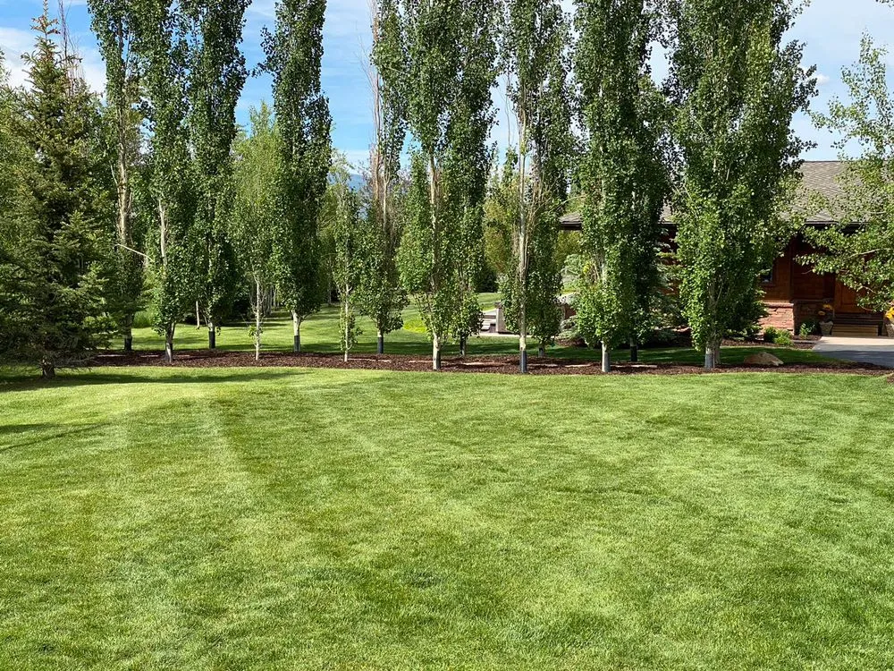 Trusted yard maintenance in Park City, UT by Red Line Property Maintenance