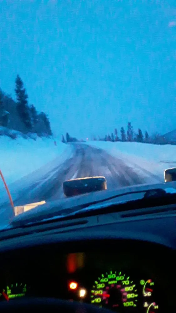 Professional yard cleanup service in Park City, UT by Red Line Property Maintenance