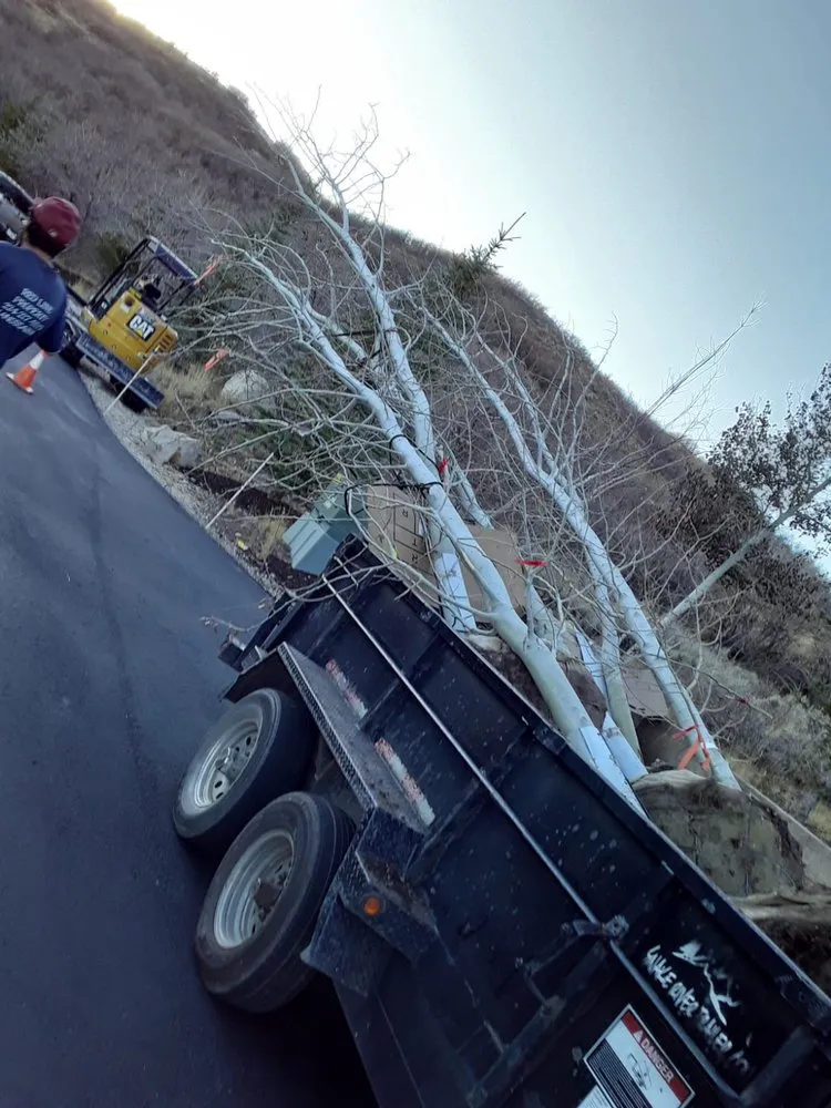 Trusted landscape installation experts serving Park City, UT - Red Line Property Maintenance