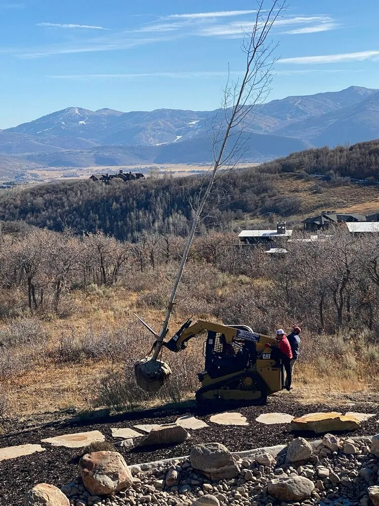 Professional landscape installation experts serving Park City, UT - Red Line Property Maintenance