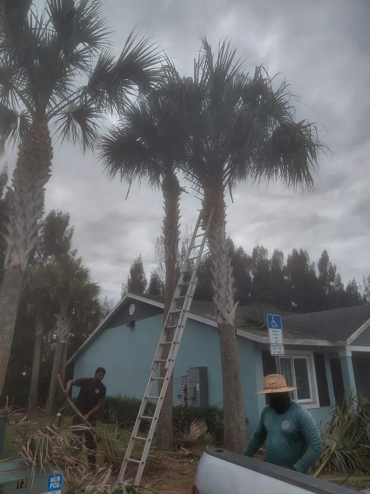 Local landscape installation for year-round maintenance in Vero Beach, FL by Red Maintenence