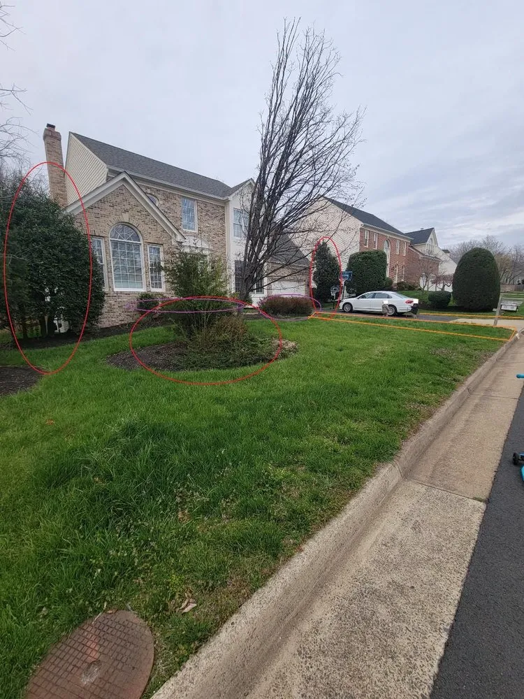 Top-rated lawn care service in Reston, VA - Red Maple Landscaping