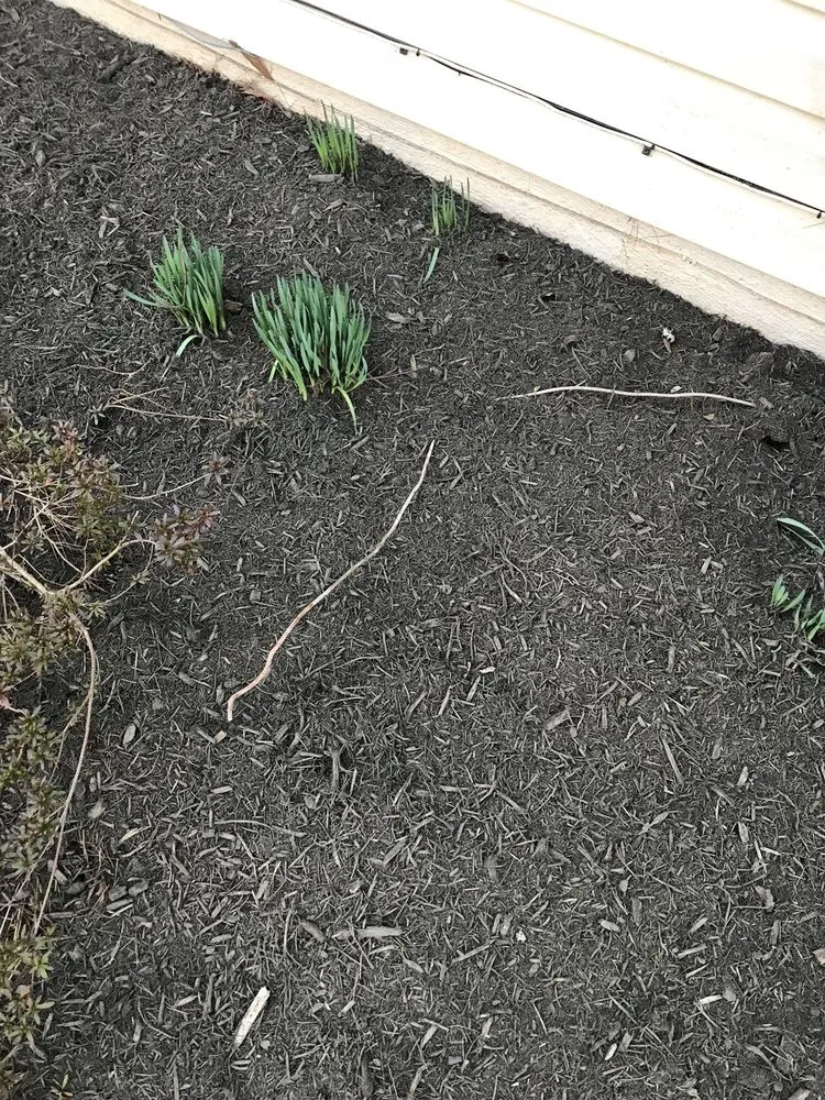 Affordable landscape installation experts serving Reston, VA - Red Maple Landscaping