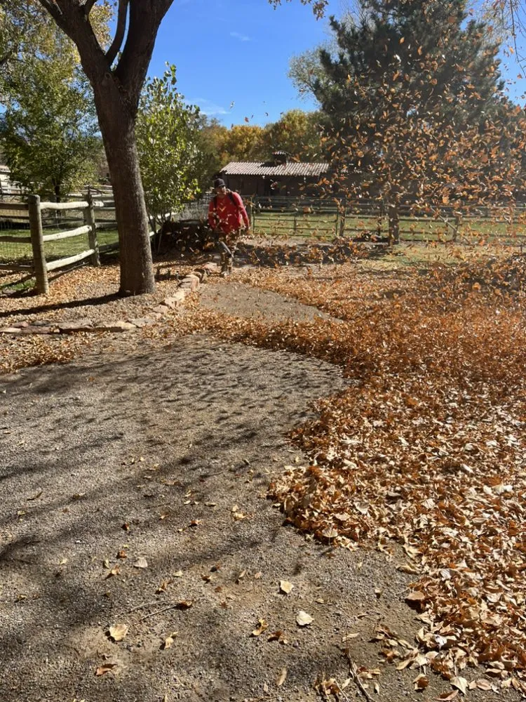 Affordable outdoor landscaping with custom design in Albuquerque, NM by Red Mesa Landscape Servies
