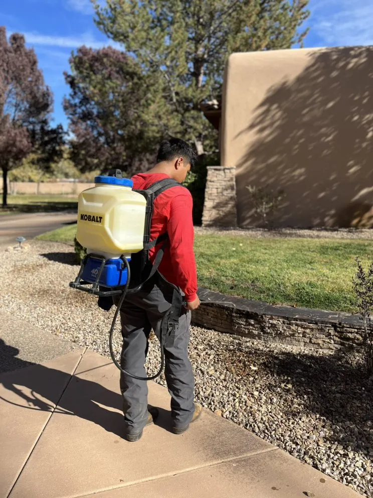 Local landscaping services experts serving Albuquerque, NM - Red Mesa Landscape Servies