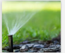 Expert landscape installation for homes across Durham, NC - Red Mill Landscaping & Nursery