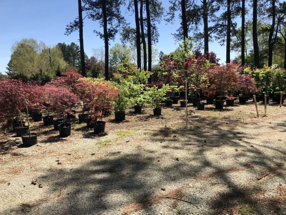 Top-rated yard maintenance experts serving Durham, NC - Red Mill Landscaping & Nursery