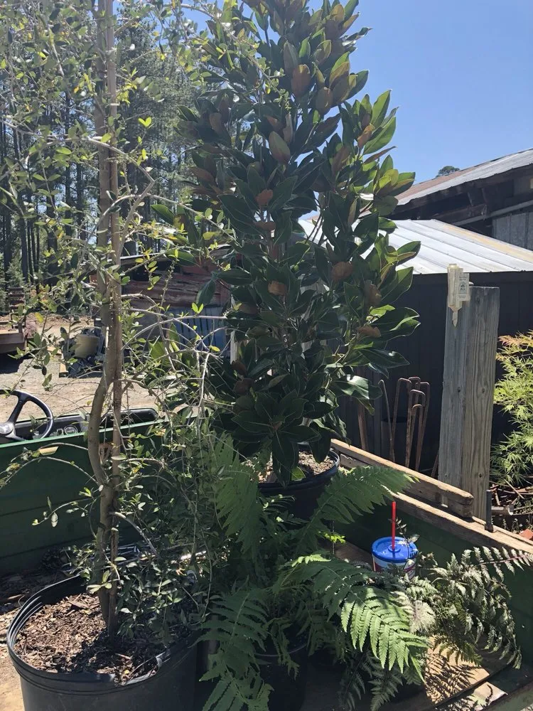 Trusted yard maintenance for residential properties across Durham, NC - Red Mill Landscaping & Nursery