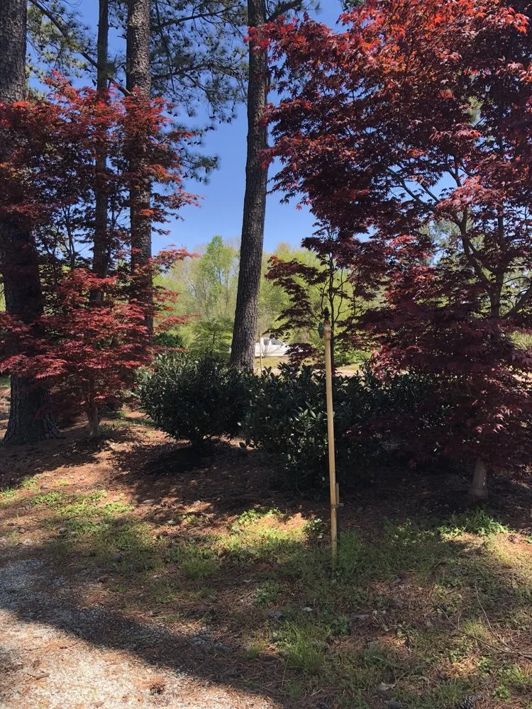 Trusted outdoor landscaping for outdoor upgrades in Durham, NC by Red Mill Landscaping & Nursery