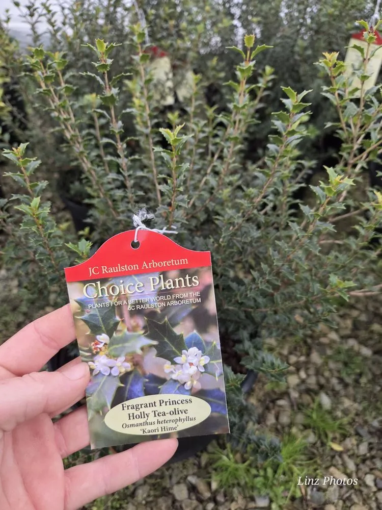 Reliable garden landscaping with custom design in Durham, NC by Red Mill Landscaping & Nursery