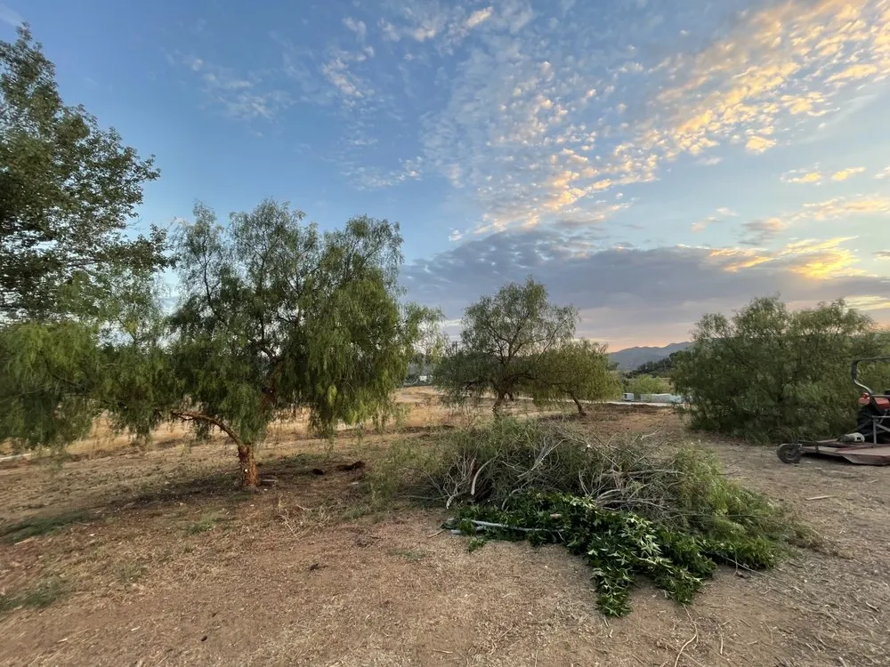 Trusted yard cleanup service for outdoor upgrades in Fallbrook, CA by Red Mountain Land Management